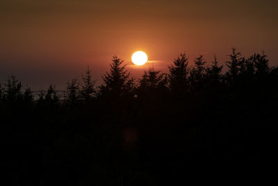 Silhouette plants against sky during sunset