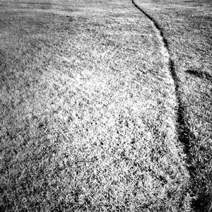 Full frame shot of grassy field