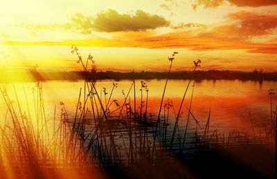 Scenic view of lake at sunset