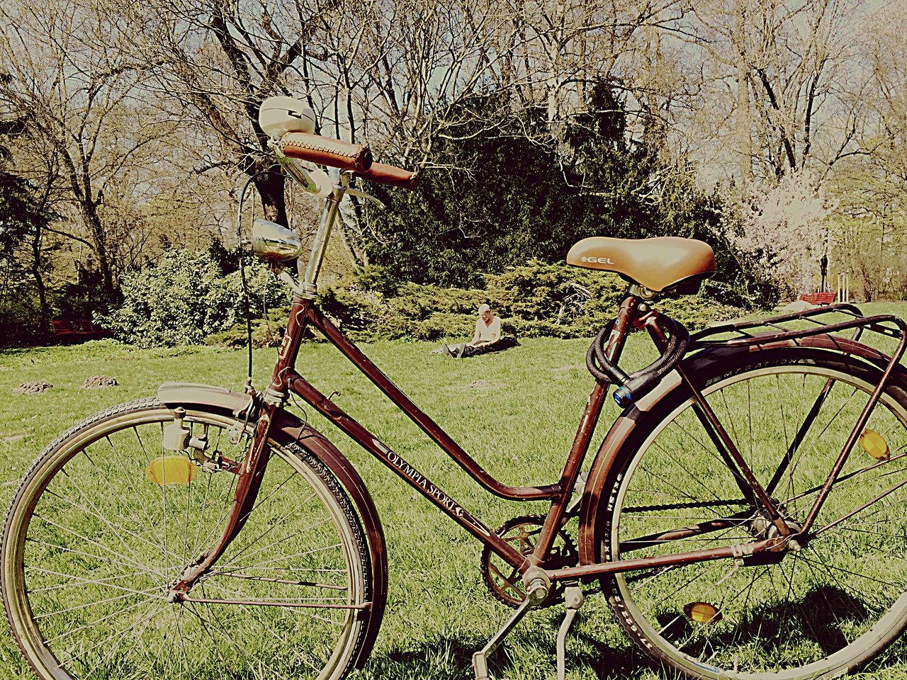 bicycle, stationary, parking, transportation, land vehicle, mode of transport, parked, wheel, absence, cycle, wall - building feature, plant, no people, high angle view, day, leaning, outdoors, growth, shadow, wall