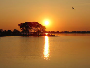 Silhouette bird flying against sky during sunset