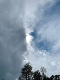 Low angle view of tree against sky