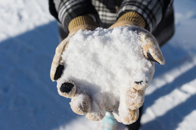 Close-up of horse on snow