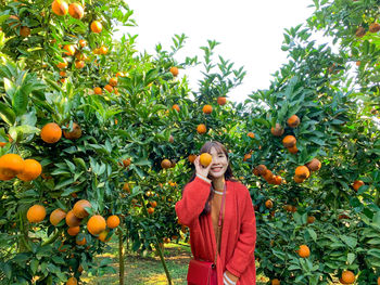 Low angle view of orange fruits on tree