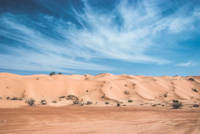 Scenic view of desert against sky