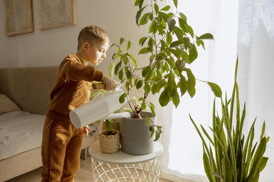 Adorable, cute boy caring of indoor plants at home. a little helper in the household