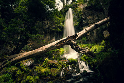 Waterfall in forest