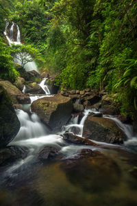 Scenic view of waterfall in forest against sky