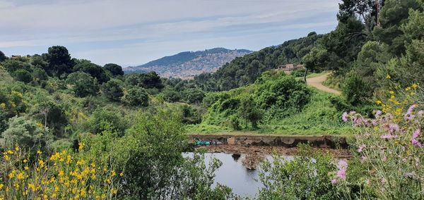 Scenic view of green landscape against sky