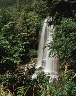 Scenic view of waterfall against trees in forest