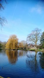 Reflection of trees in lake against sky