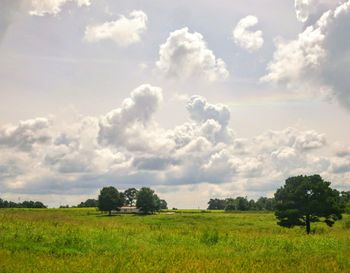 Scenic view of field against sky