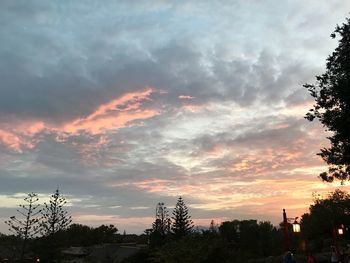 Low angle view of silhouette trees against sky during sunset