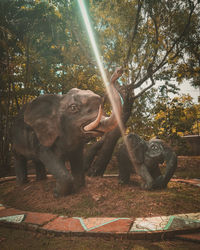 View of elephant in forest