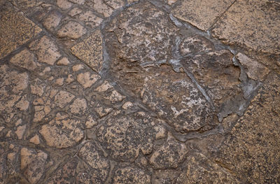soil
