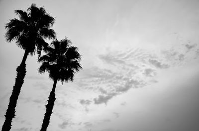 Low angle view of palm tree against sky