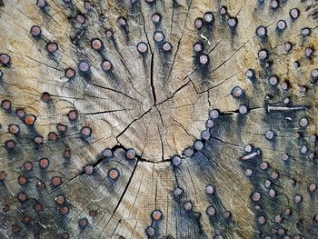 Full frame shot of wooden wall