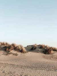 Scenic view of desert against clear sky