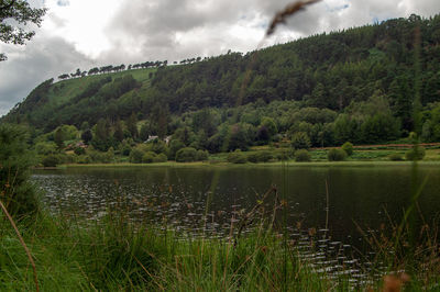 Scenic view of lake in forest against sky
