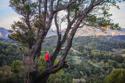 Woman on tree