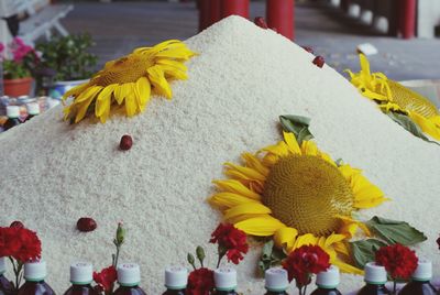 Close-up of sunflowers