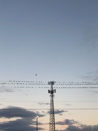 Low angle view of birds flying against sky