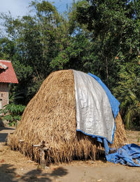 Hay bales on field by house against trees