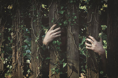 Person hand by tree trunk in forest