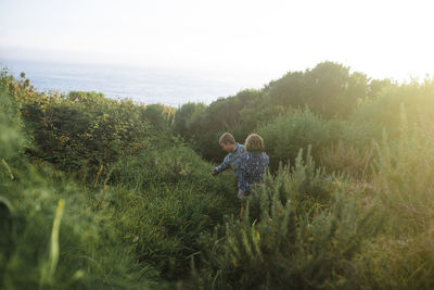 Carefree siblings playing amidst plants in forest