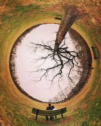 View of bench in park