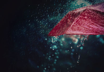 Wet umbrella during rainy season