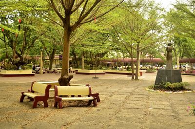 Empty bench in park