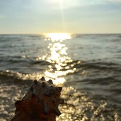 Close-up of hand by sea against sky during sunset