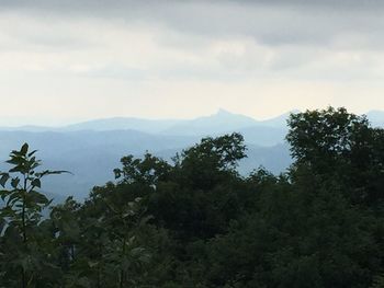 Scenic view of trees and mountains against sky