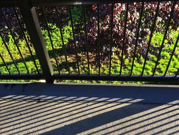 Sunlight falling on railing by trees in city