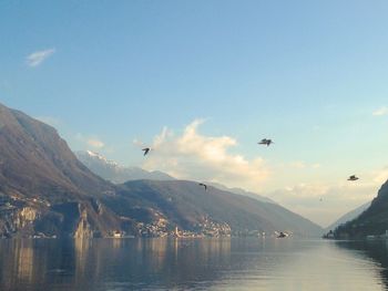 Birds flying over lake against sky