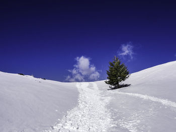 Scenic view of snow covered field against sky