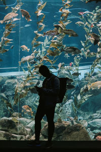 View of fishes swimming in sea