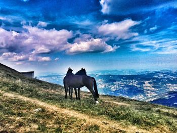 Horses on field against sky