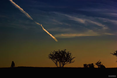 Silhouette tree against sky during sunset