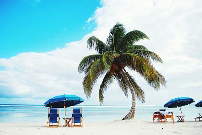 Folding chair and beach umbrella by palm tree on shore against sky