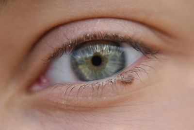 Extreme close-up of human eye