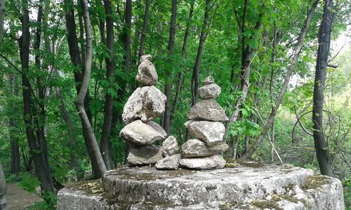 Statue against tree trunk