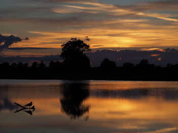 Silhouette trees by lake against sky during sunset