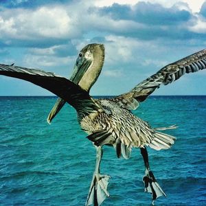 View of sea against sky