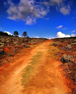 Road amidst landscape against sky