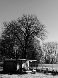 Bare trees against clear sky during winter