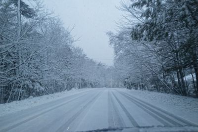 Snow covered road amidst trees during winter