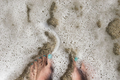 Low section of woman standing at shore