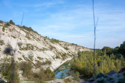 Scenic view of river amidst trees against sky